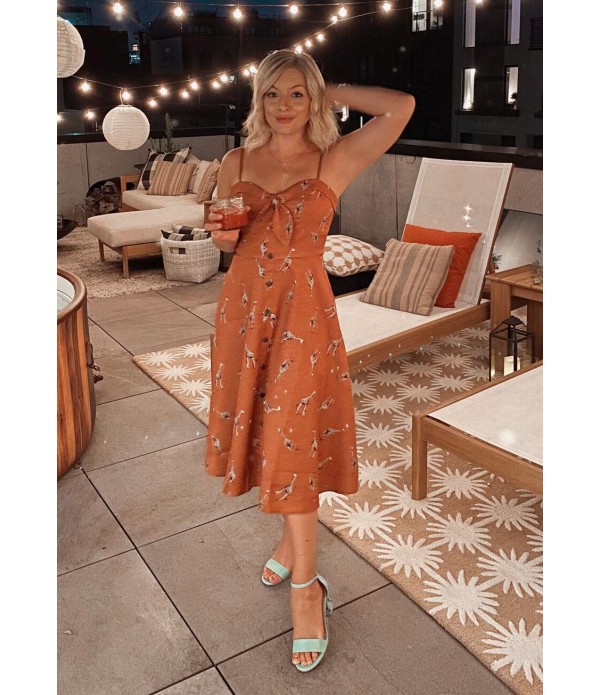 Giraffe to See It A-Line Dress